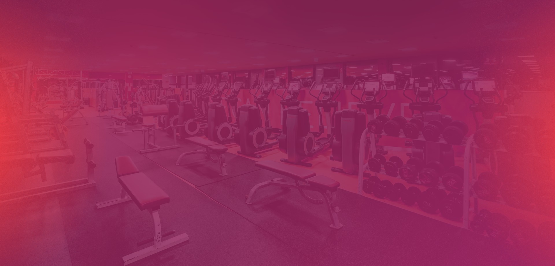 Viana do Castelo 17 promocoes-formBG